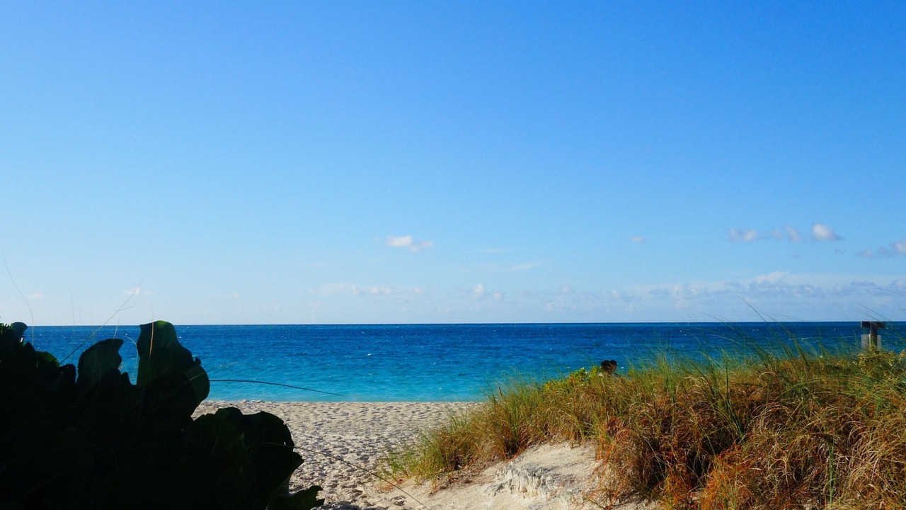 Photo of Others in Grace Bay