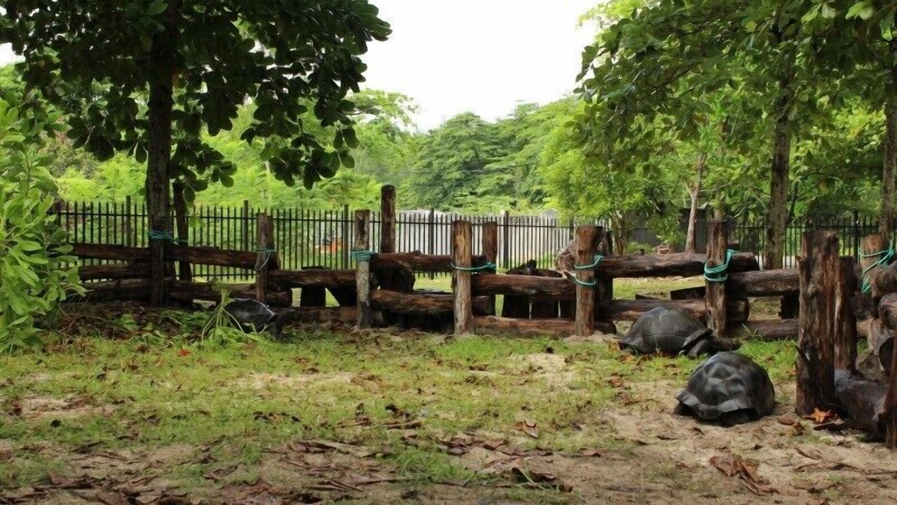 Photo of Outdoor in Praslin Island