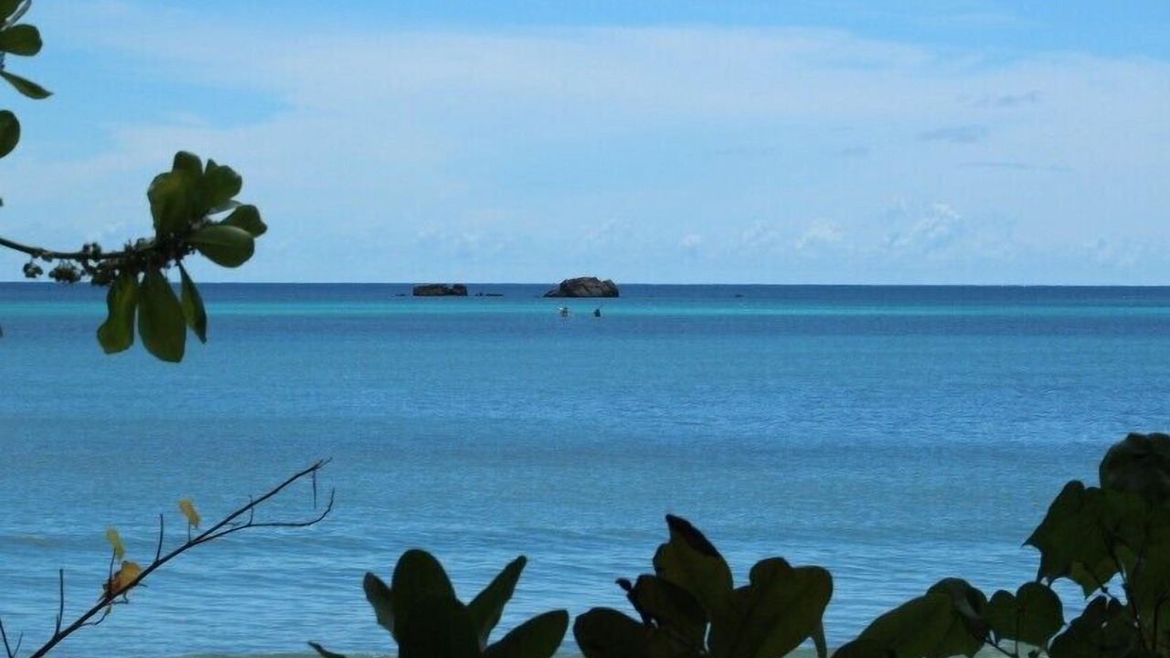 Photo of Others in Praslin Island