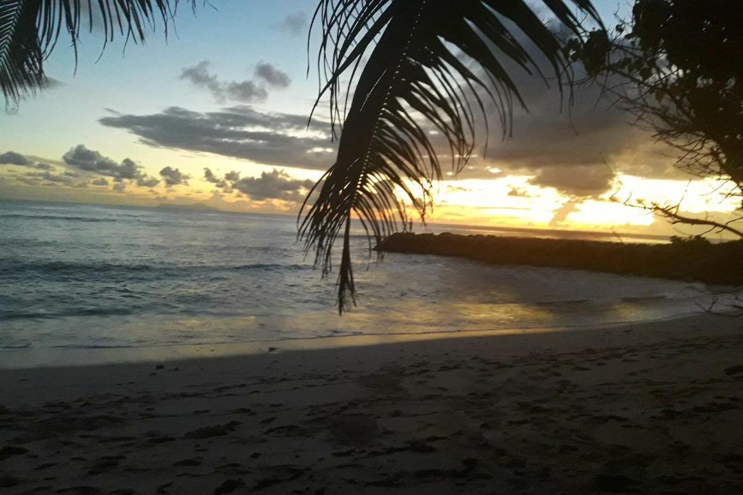 Photo of Others in Anse Kerlan
