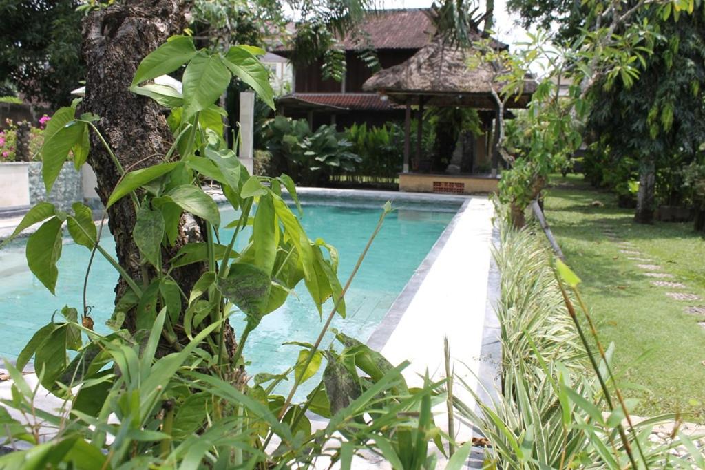 Photo of Others in Sanur Kauh