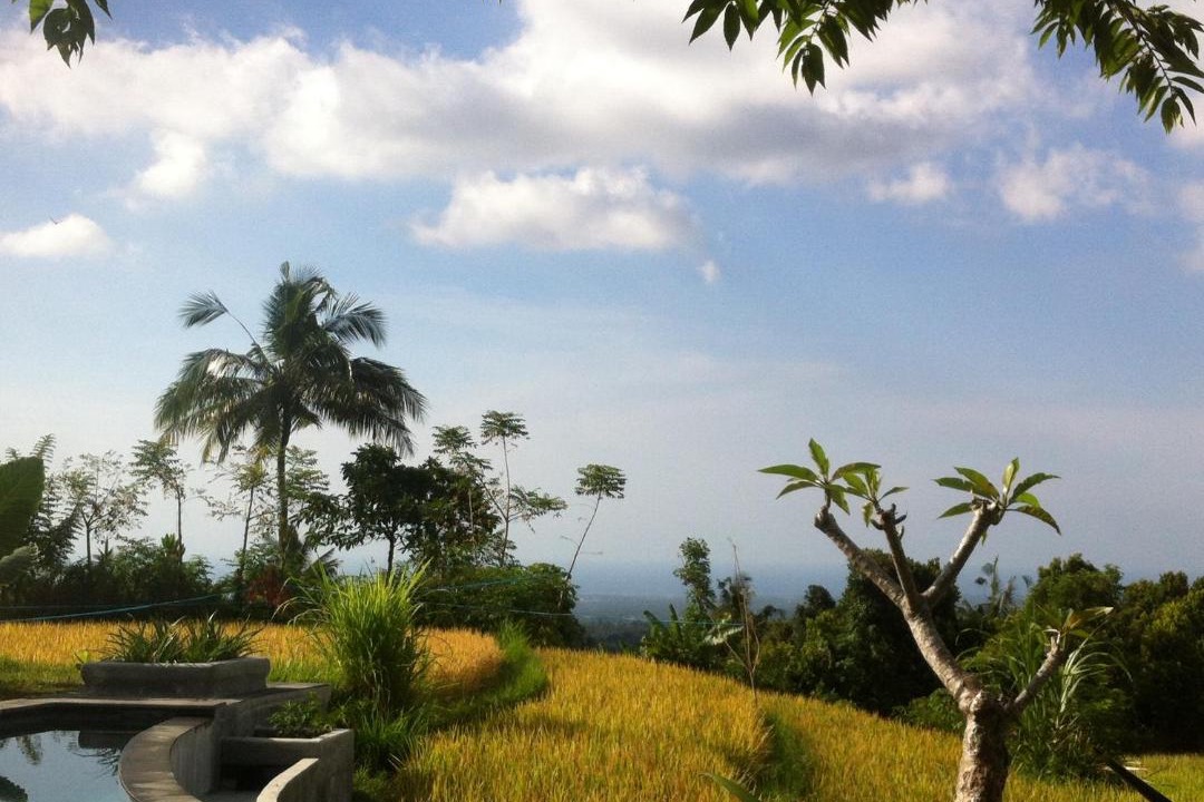 Photo of Outdoor in Sukasada