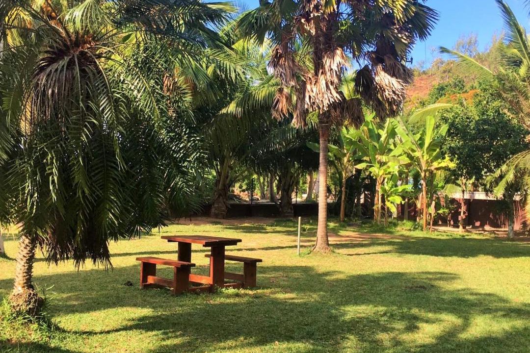 Photo of Others in Praslin Island