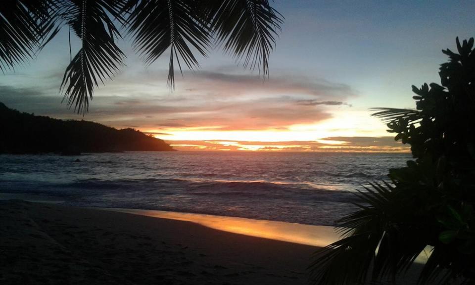 Photo of Others in Praslin Island
