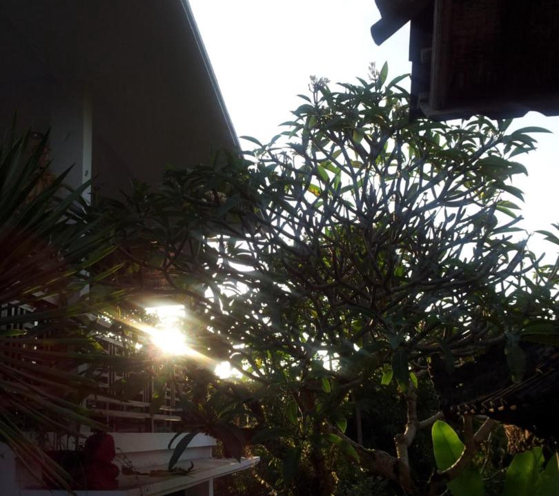 Photo of Buildings in Ubud City-Centre