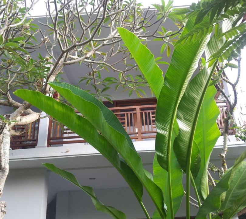 Photo of Buildings in Ubud City-Centre