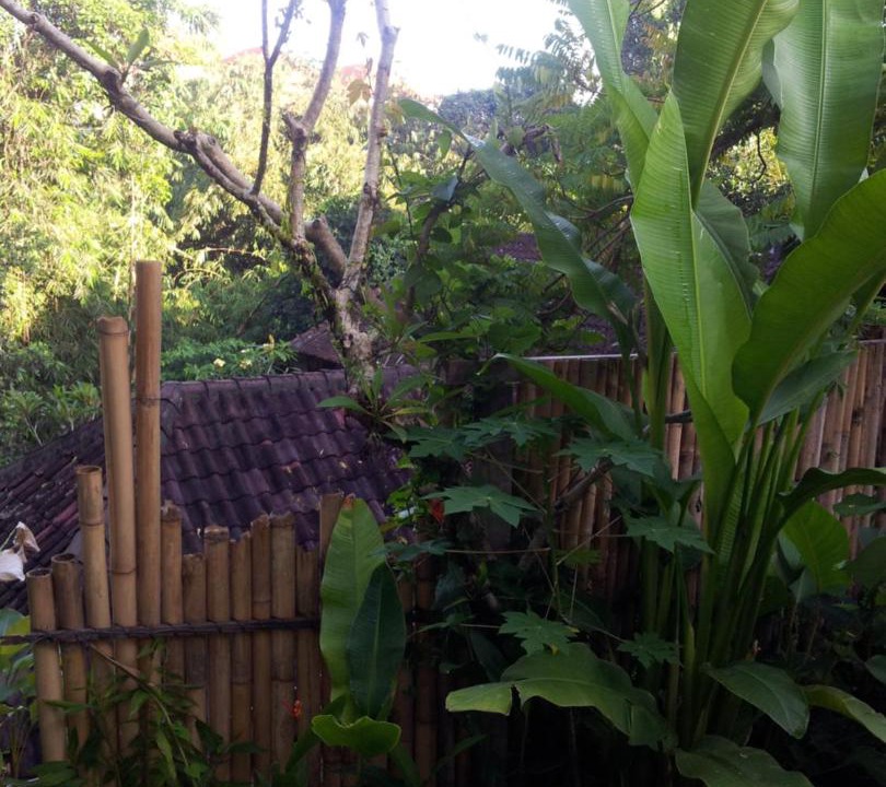 Photo of Others in Ubud City-Centre