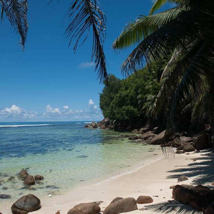 Photo of Others in Anse Royale
