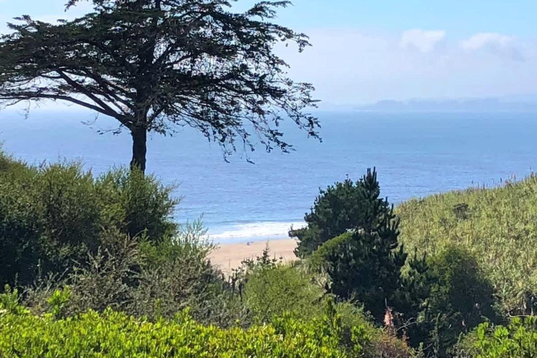 Photo of Others in Rio del Mar