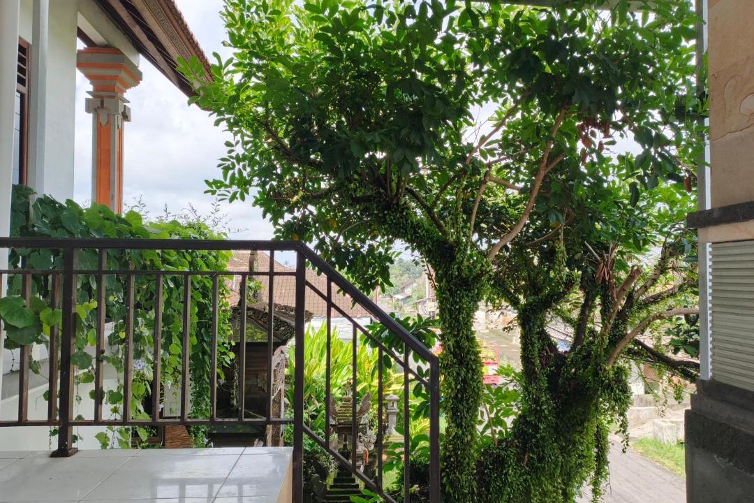 Photo of Others in Kemenuh