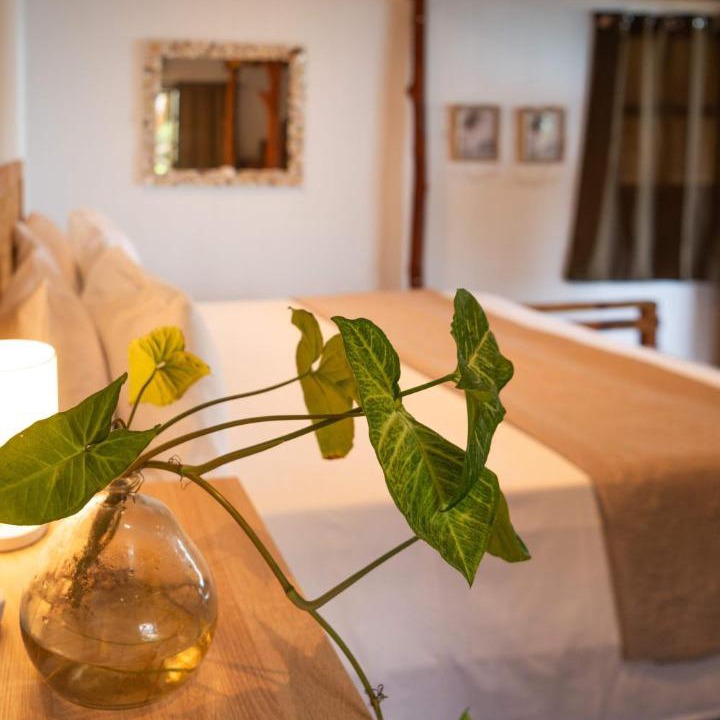 Photo of Bedroom in Point Matira