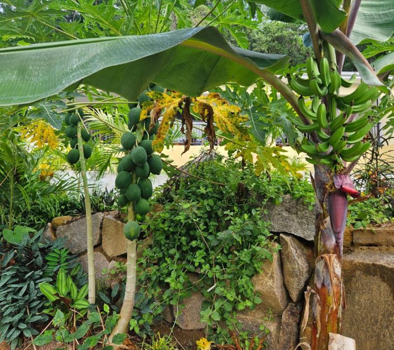 Photo of Others in Mahe Island