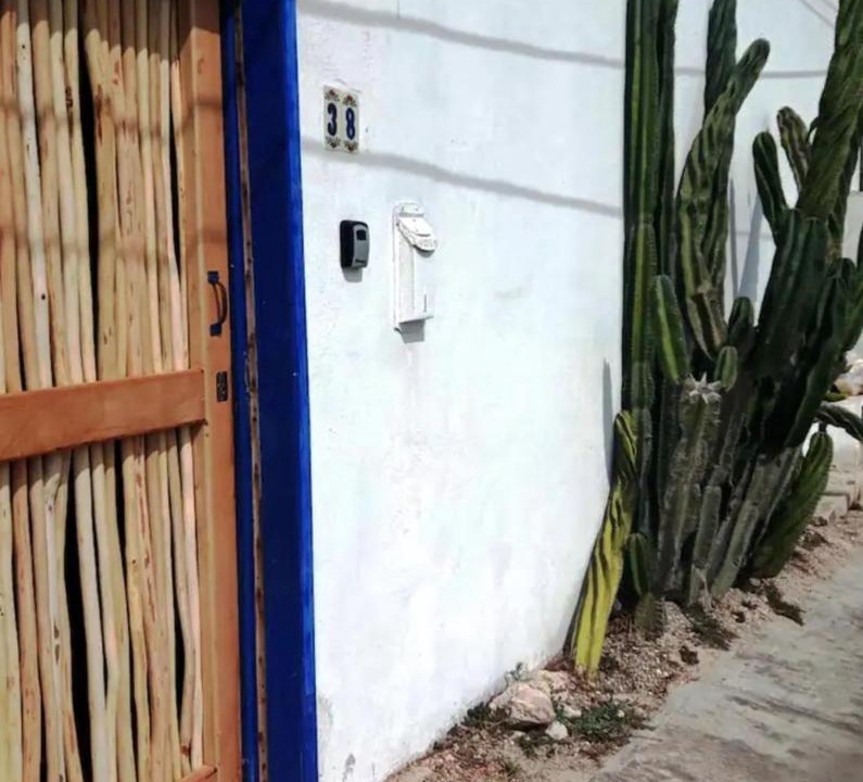 Photo of Others in Colonia Salina Chica