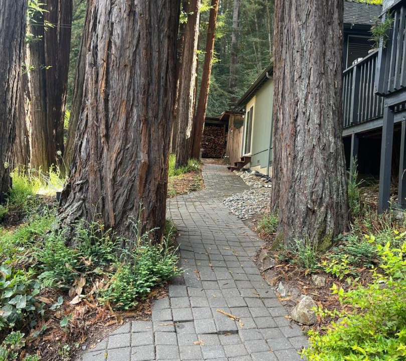 Photo of Others in Scotts Valley