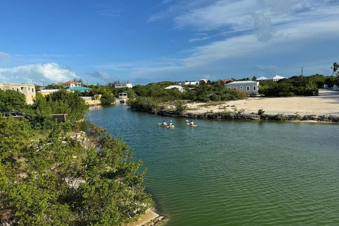 Photo of Others in Discovery Bay