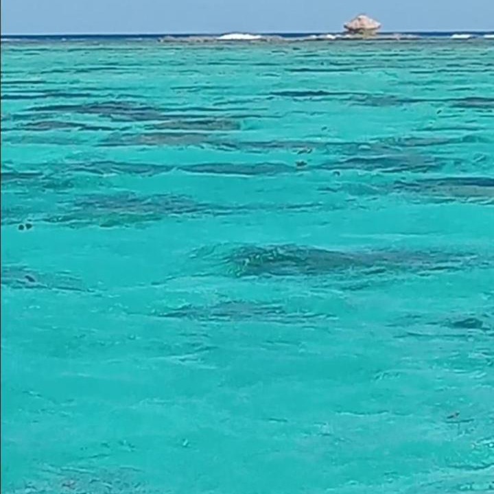 Photo of Others in Vaitape