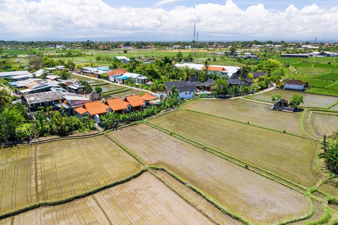Photo of Others in Mengwi