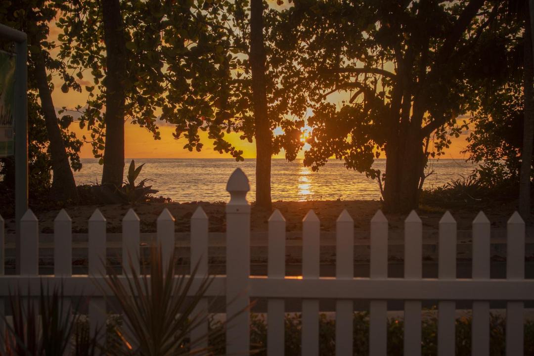 Photo of Others in Anse Boileau