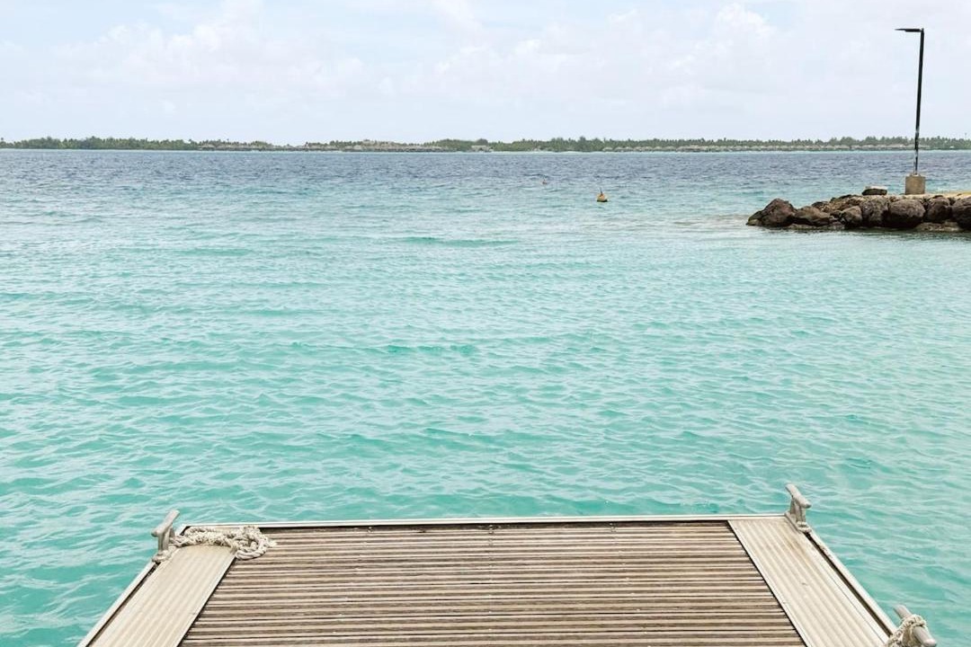 Photo of Others in Bora Bora