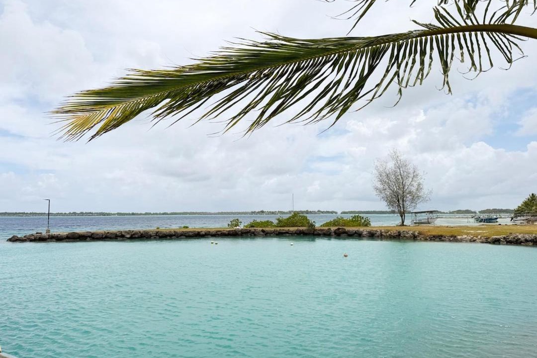 Photo of Others in Bora Bora