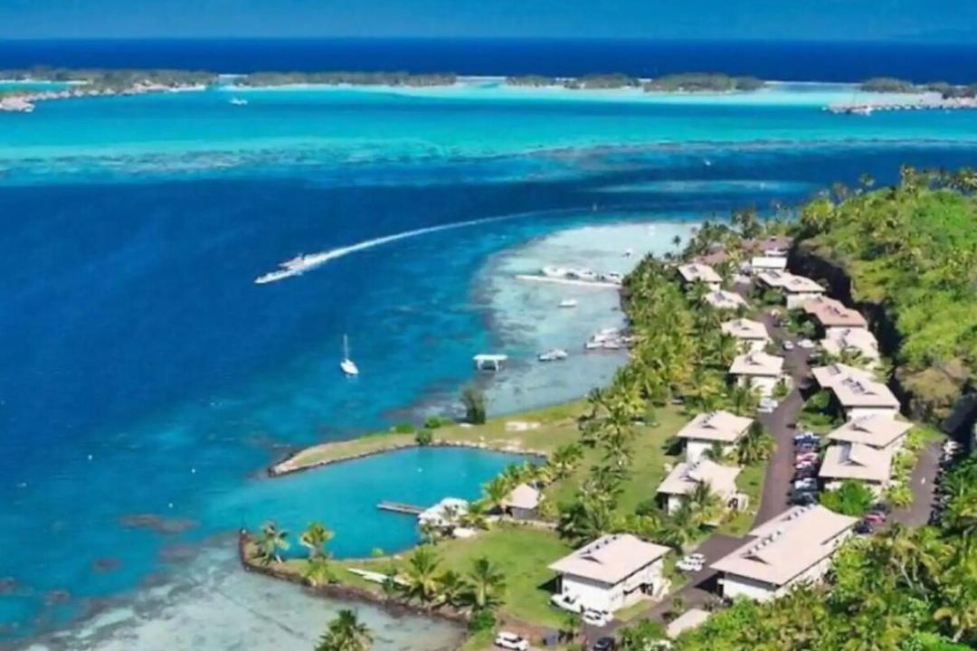 Photo of Others in Bora Bora
