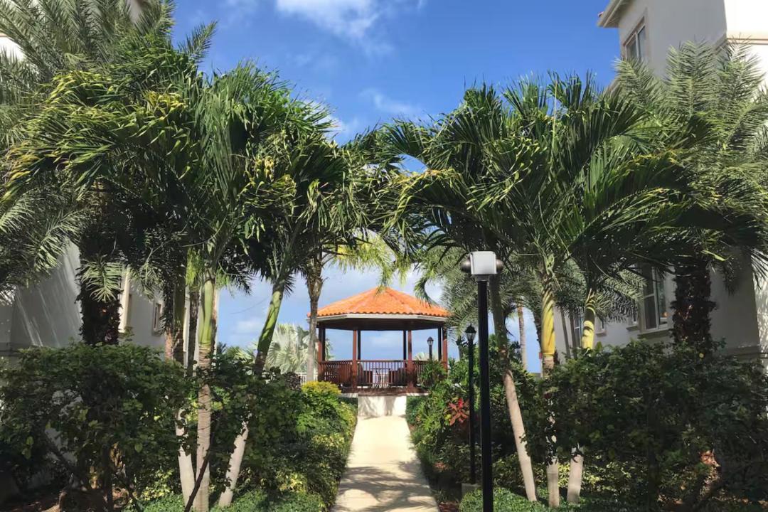 Photo of Others in Discovery Bay