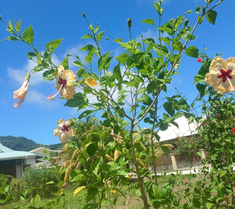 Photo of Outdoor in La Passe
