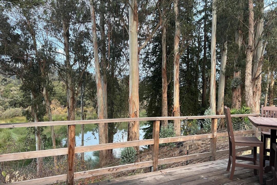 Photo of Others in Amesti