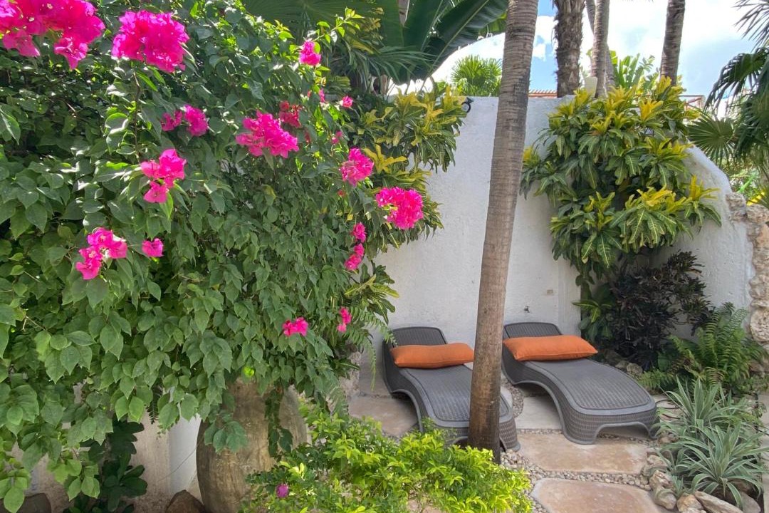 Photo of Patio Balcony in Downtown Holbox
