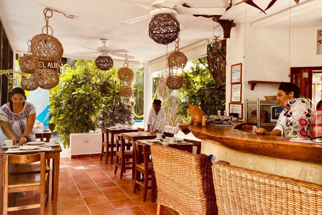 Photo of Kitchen in Downtown Holbox