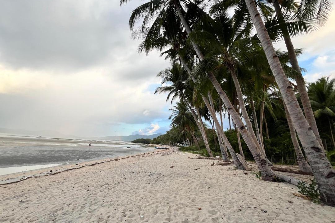 Photo of Others in El Nido