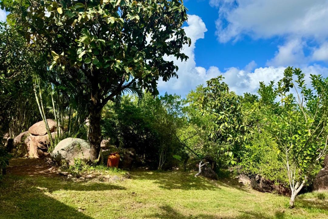 Photo of Others in Anse Boudin