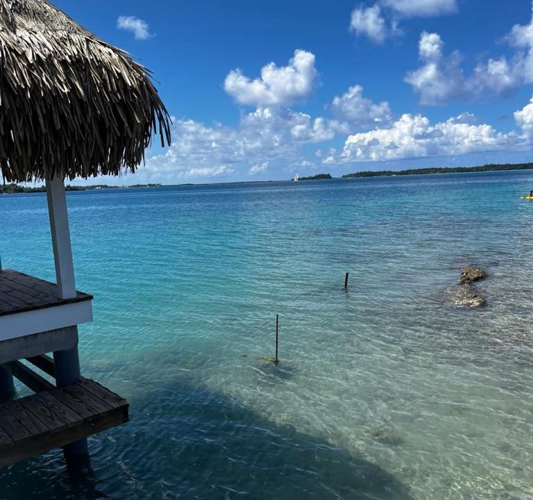 Photo of Others in Bora Bora