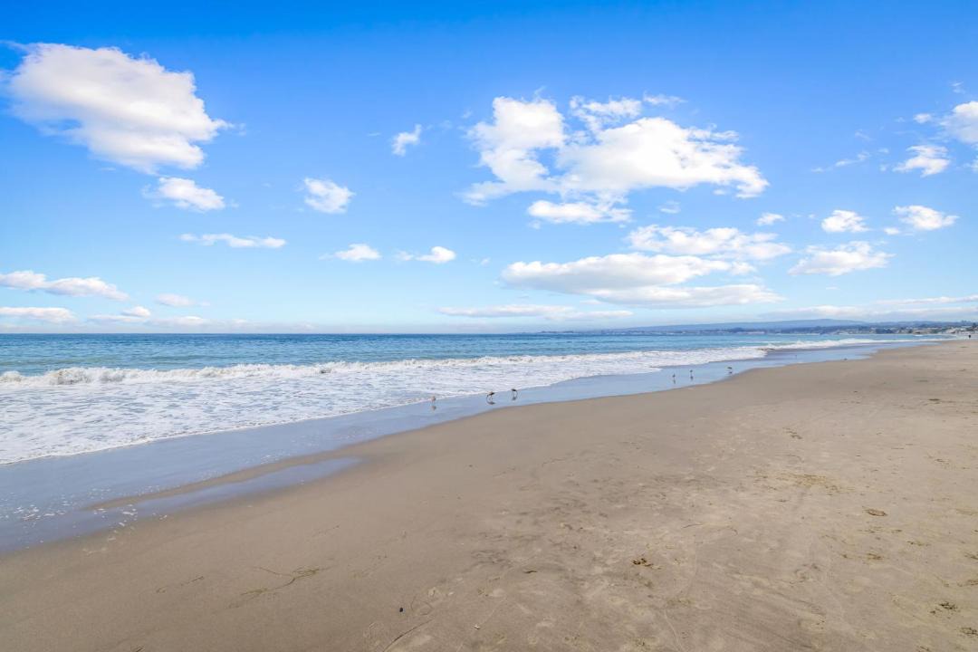 Photo of Others in Rio del Mar
