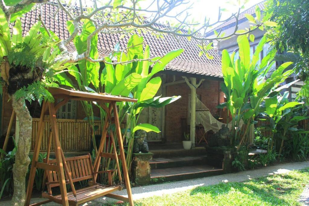 Photo of Others in Ubud