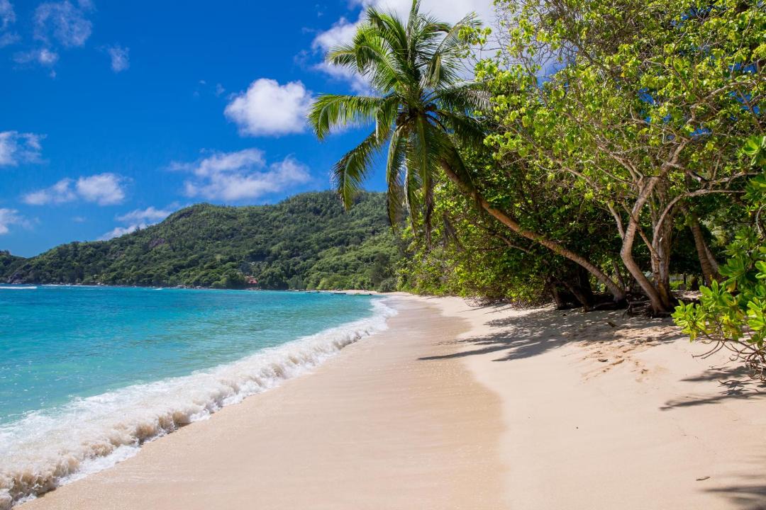 Photo of Others in Anse Forbans