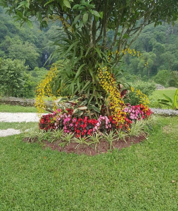 Photo of Outdoor in La Gloria