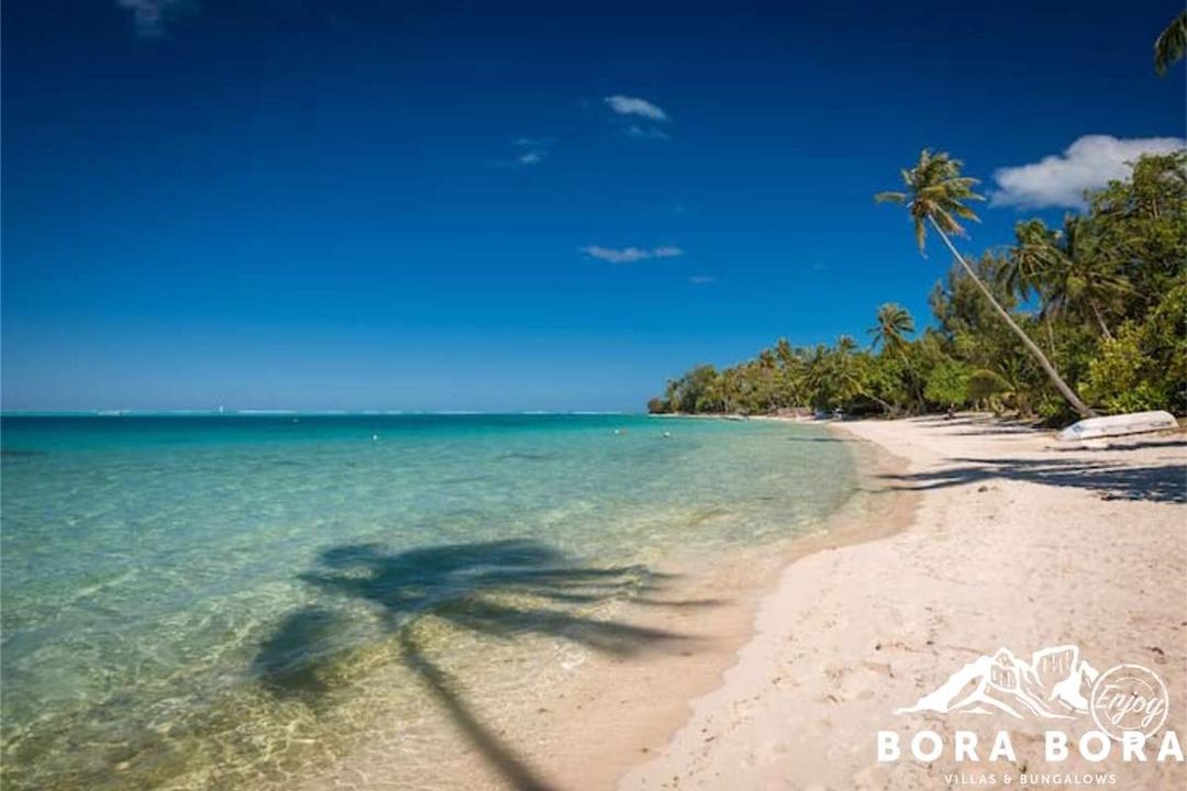 Photo of Others in Point Matira