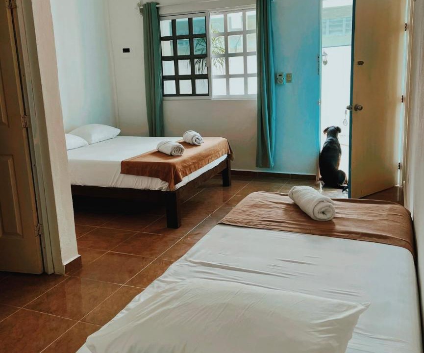 Photo of Bedroom in Downtown Holbox