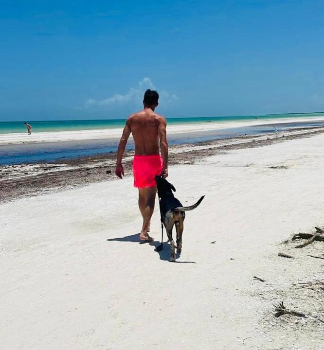 Photo of Others in Downtown Holbox