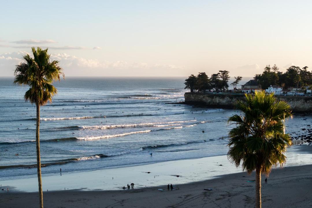 Photo of Others in Westside Santa Cruz