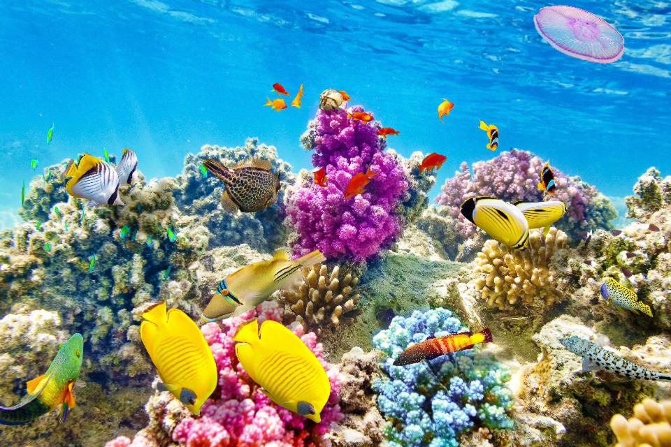 Photo of Others in The Bight