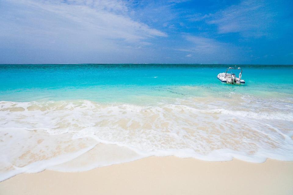 Photo of Others in The Bight