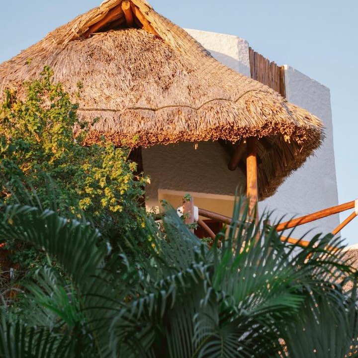 Photo of Others in Isla Holbox