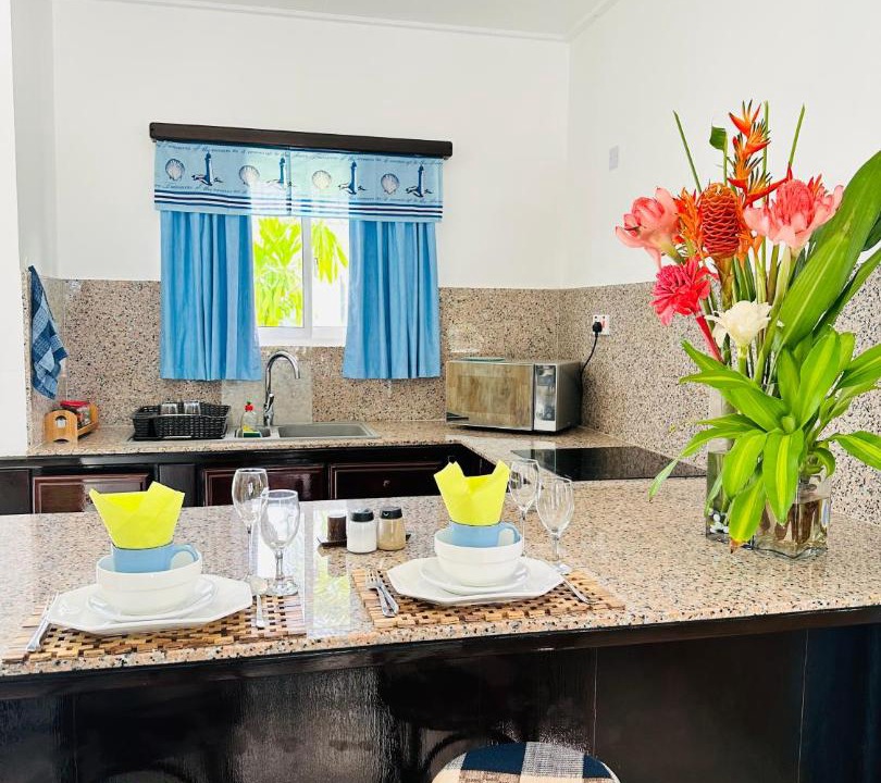 Photo of Kitchen in Anse Kerlan