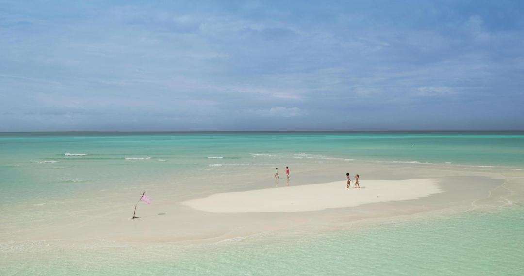 Photo of Others in The Bight