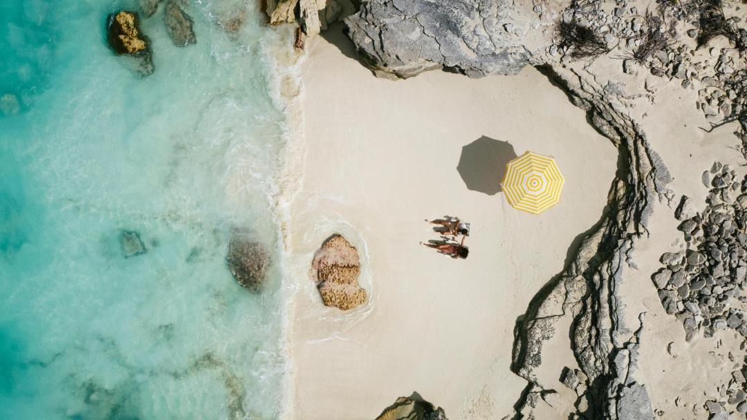 Photo of Others in The Bight