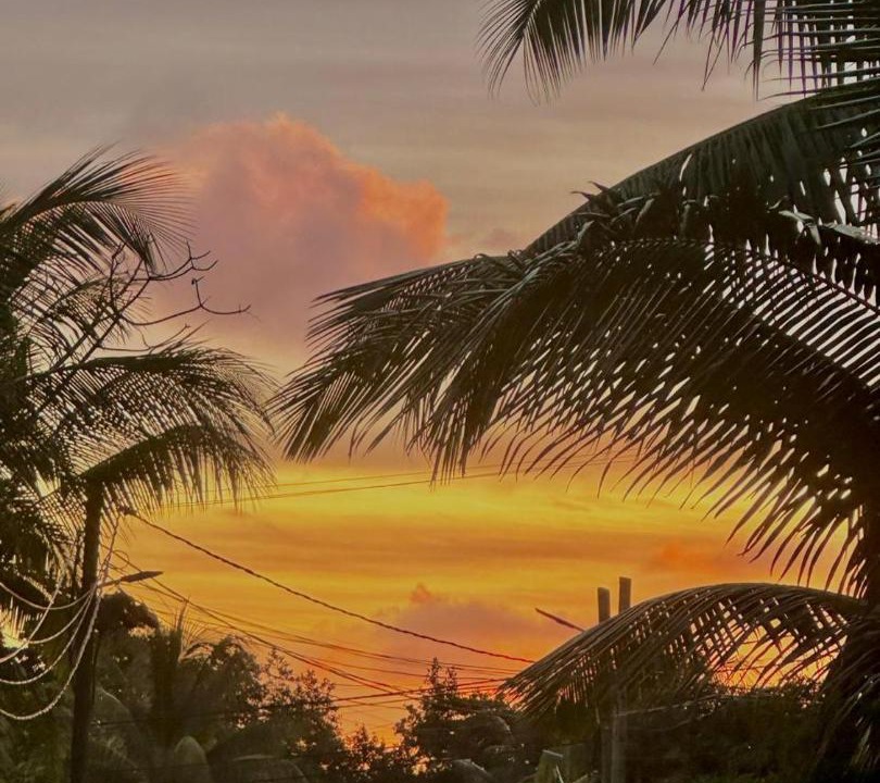 Photo of Others in Anse La Mouche