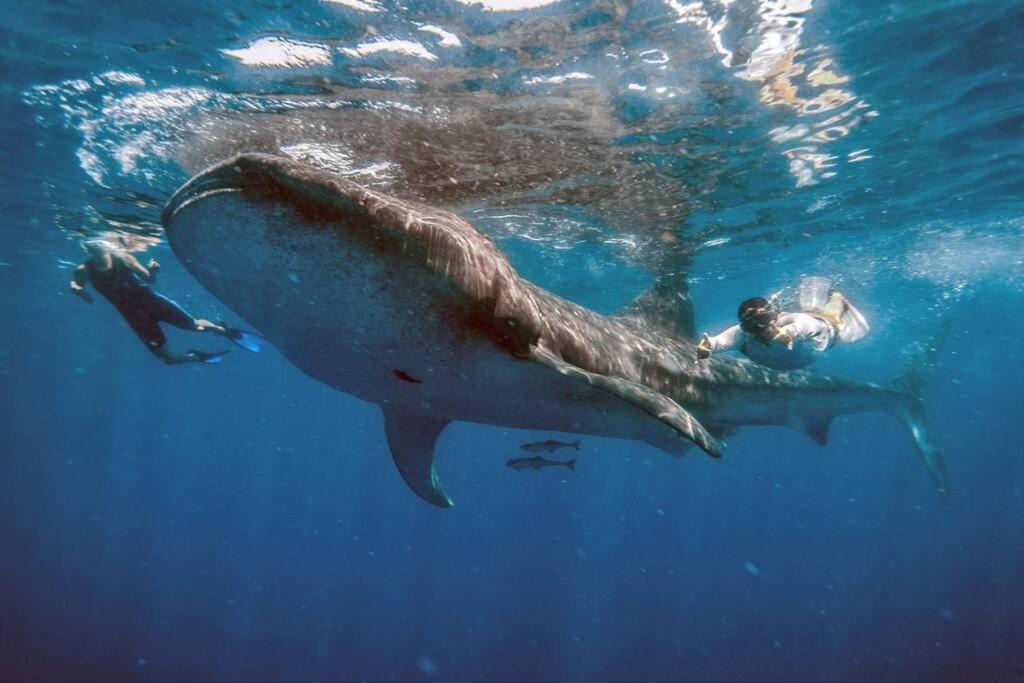 Photo of Others in Isla Holbox