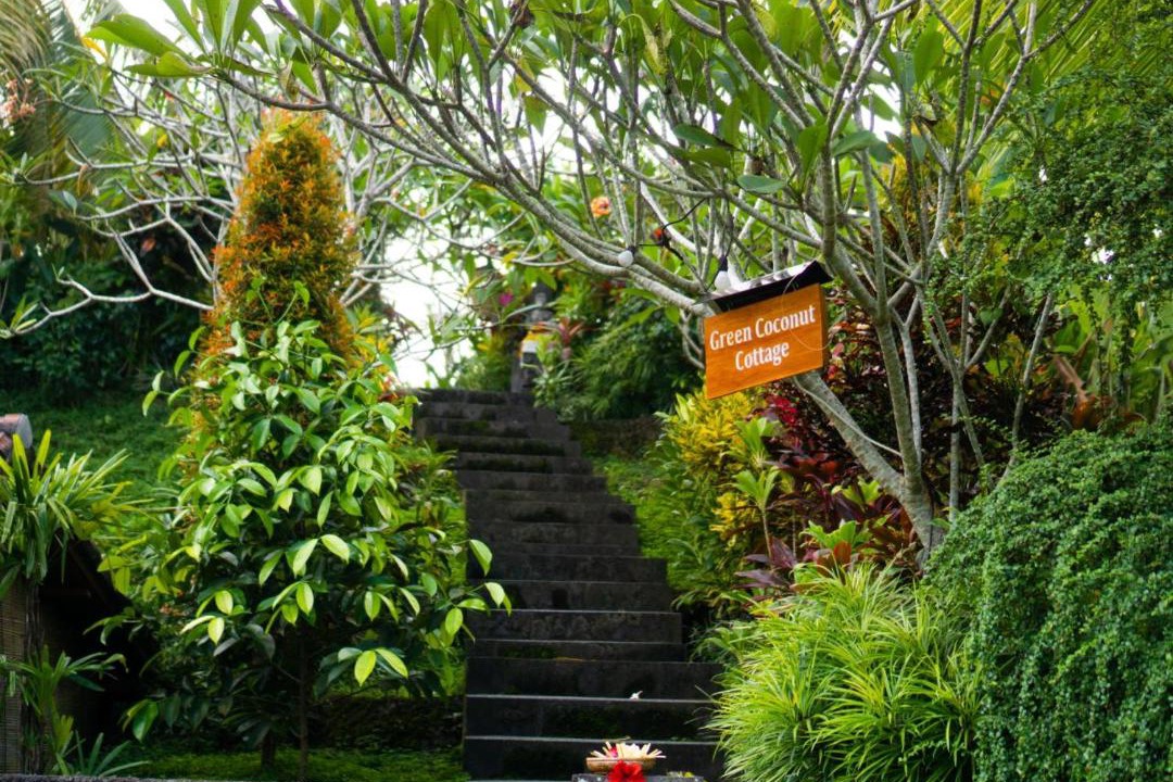 Photo of Outdoor in Mas